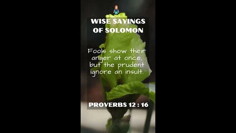 Proverbs 12:16 | Wise Sayings of Solomon