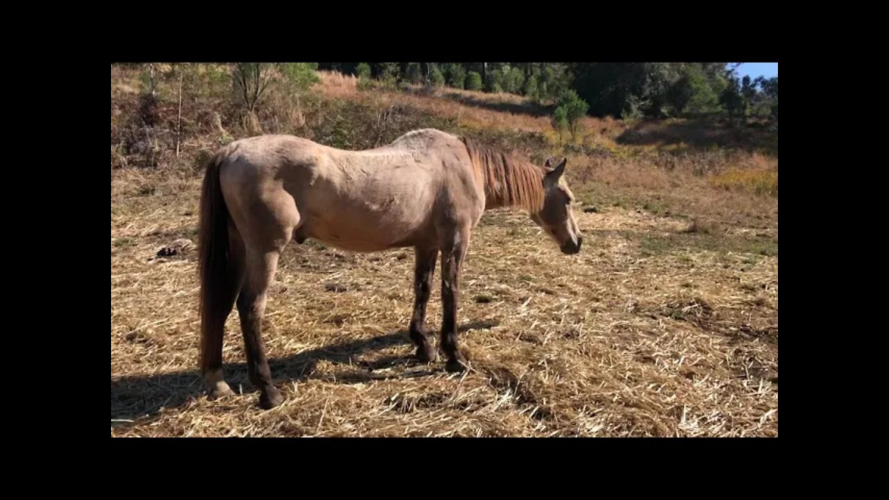 Arthur had lost weight but he’s healthy. Disappointing about the weight.