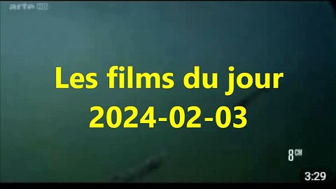 Les films du jour = 2024-02-03