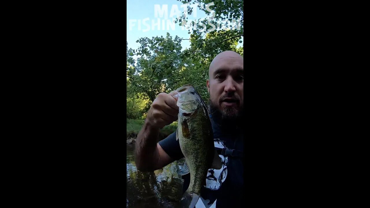 SKINNY water and FAT fish! ( short version )