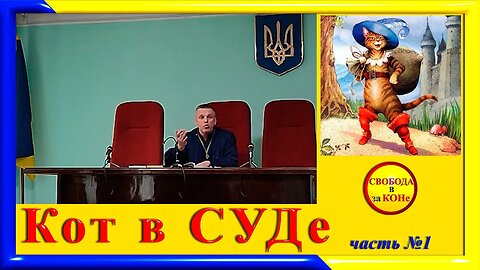 22.12.23- часть 1- Кот в суде