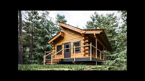 Log Cabin Building TIMELAPSE Built by ONE MAN (and Grandson)