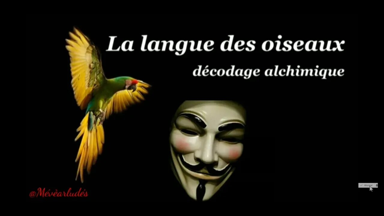 La Petite Sœur de loge D Emmanuelle Macron Une Famille d Ordures Parmis les Ordures