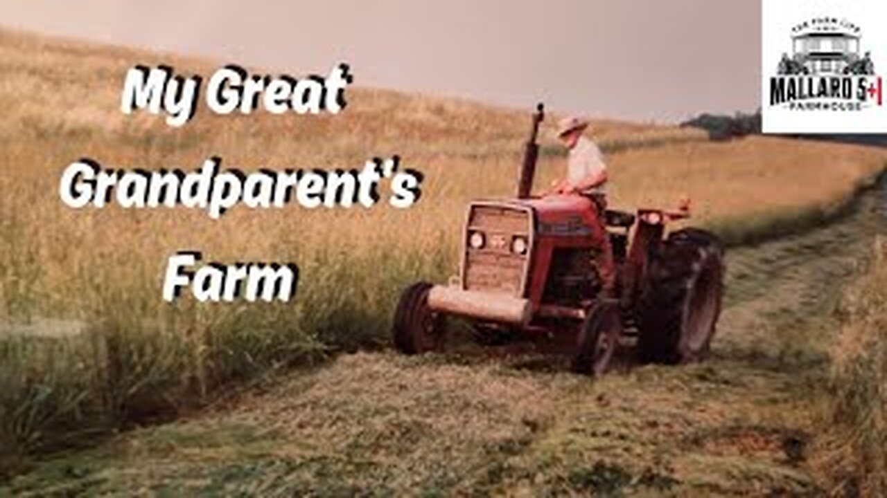 Old Farm Footage | My Great Grandparents' Farm