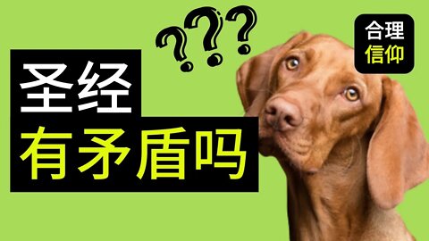【大鸟合理的信仰 #11】 圣经自相矛盾吗？ 圣经里面有错误吗？ 圣经无误吗？ 信仰问题Q&A