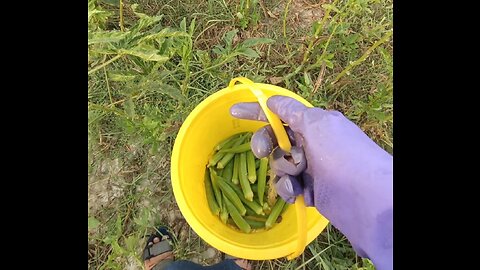 Okra Masonry