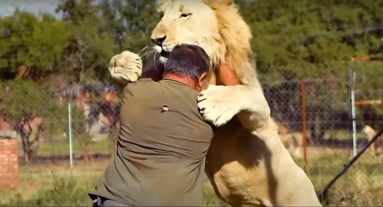 Heartwarming moments as pets are reunited with their owners after years of separation.