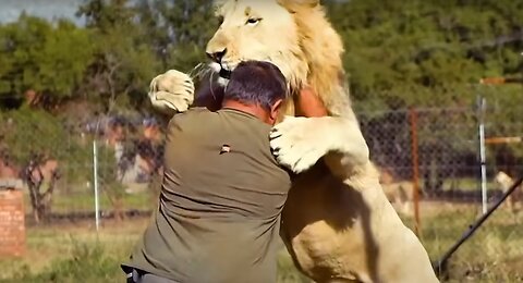 Heartwarming moments as pets are reunited with their owners after years of separation.