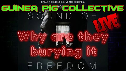 The Guinea Pig Collective Nibbling Live .. Sound of Freedom..Why Are They Burying It