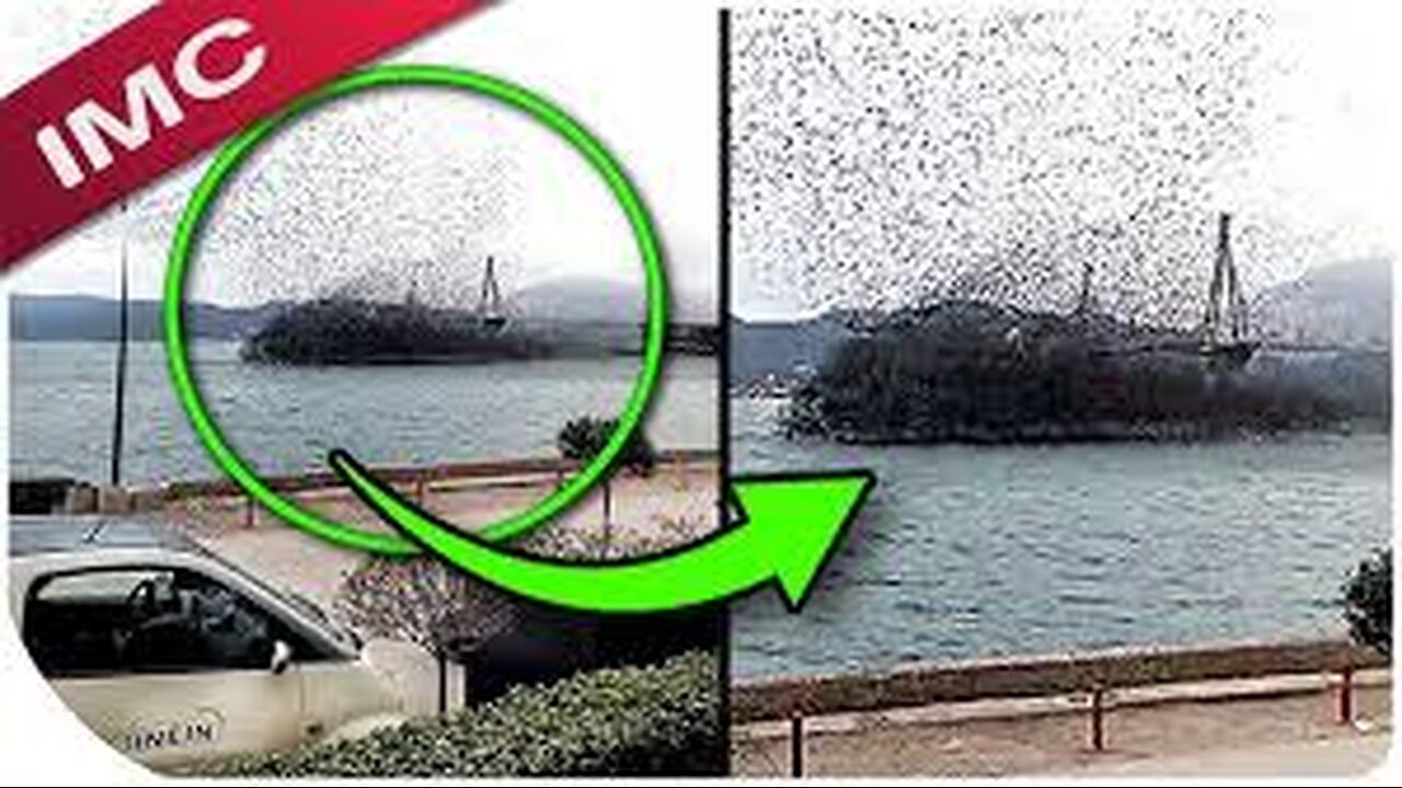 "NO WAY" Videos SO BIZARRE You'll Be Left Speechless