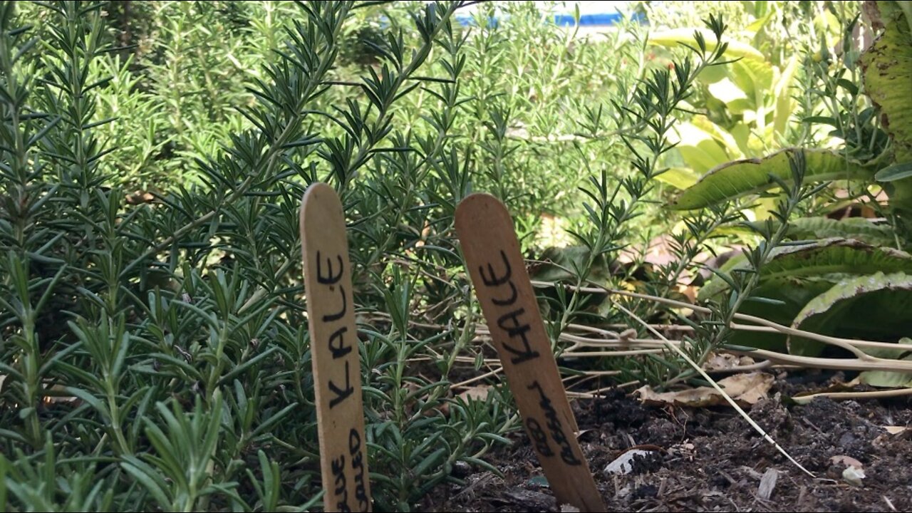 Students to sell produce in largest Earth Day farmers market