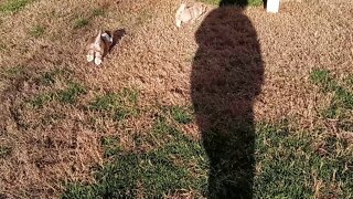 K Litter - Days Away From Going Home(3)