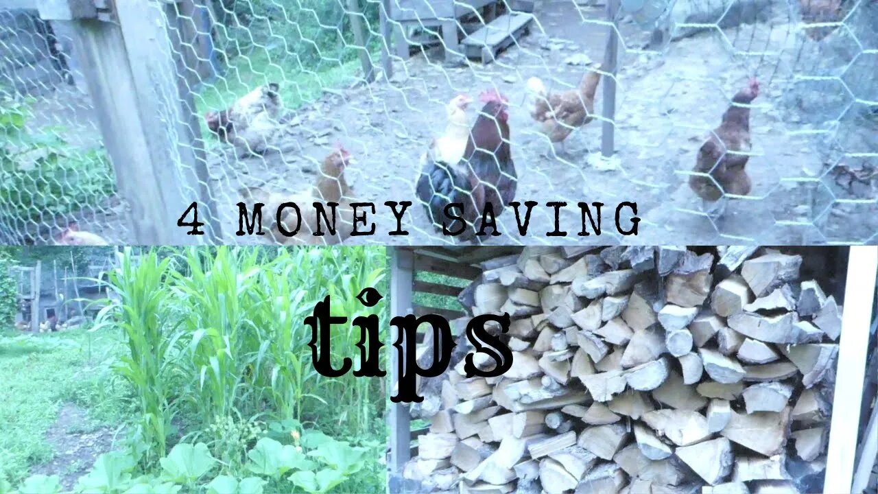 4 ways we SAVE MONEY on the Homestead!