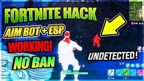 FORNITE HACK/CHEAT