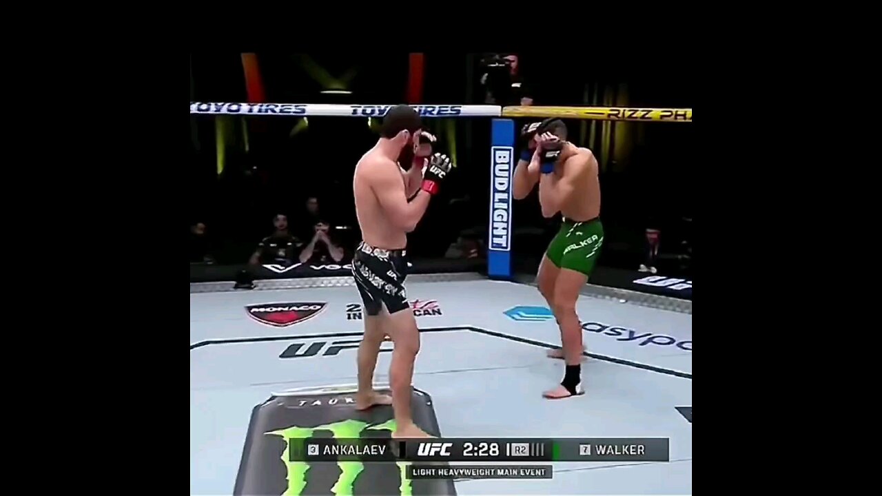 Magomed vs Walker