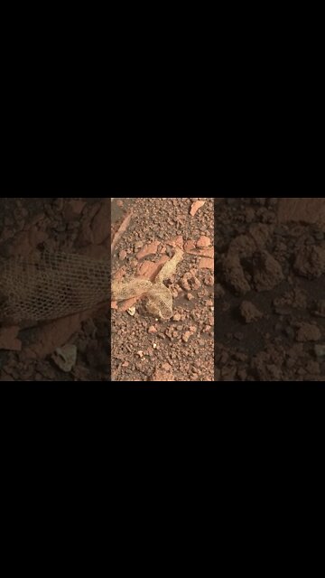 Som ET - 65 - Mars - Perseverance Sol 477 #Shorts