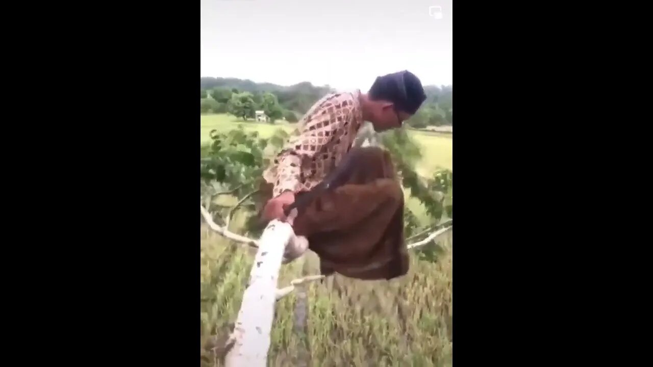 IQ level Lol!. . .😂😂😂