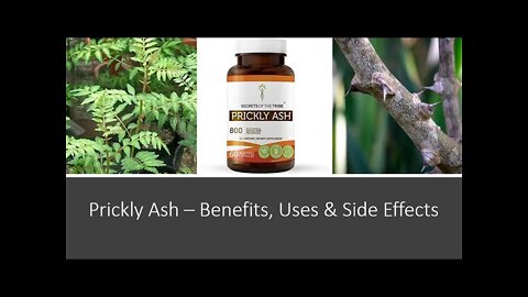 Prickly Ash - Benefits, Uses & Side Effects