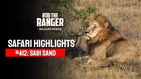 Safari Highlights #412: 07 - 10 June 2016 | Sabi Sand Wildtuin | Latest Wildlife Sightings