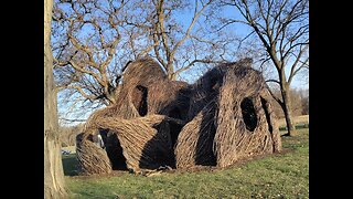 Biggest Bird Nest