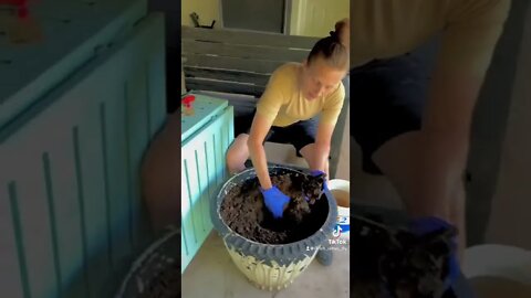 I’ve never planted one of these before… 🤷🏼‍♀️🌱 #shorts #viral #tiktok