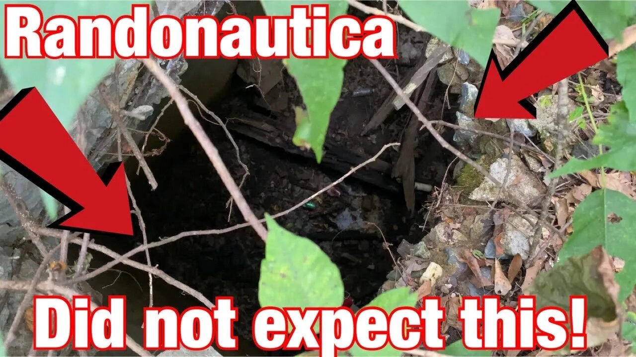 My first Randonautica adventure and we found an abandon...
