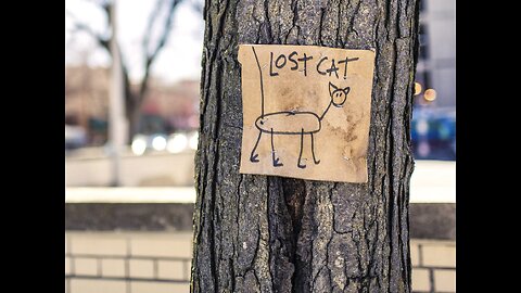 Garage fire ( stolen Cat )