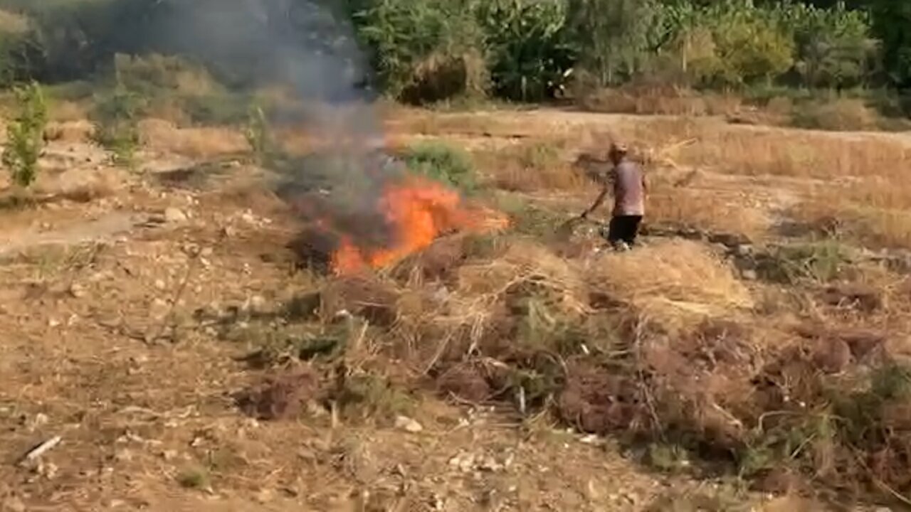 Grass fire burning