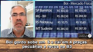 Boi gordo sobe em 6 e cai em 4 praças pecuárias e recua na B3