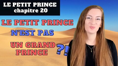 Le Petit Prince Chapitre 20 - Explanations - Explications - Antoine de Saint-Exupéry