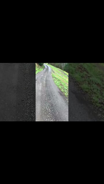 Native American Flute Walk Through The Woods! One Handed! #nativeamericanflute #theforest