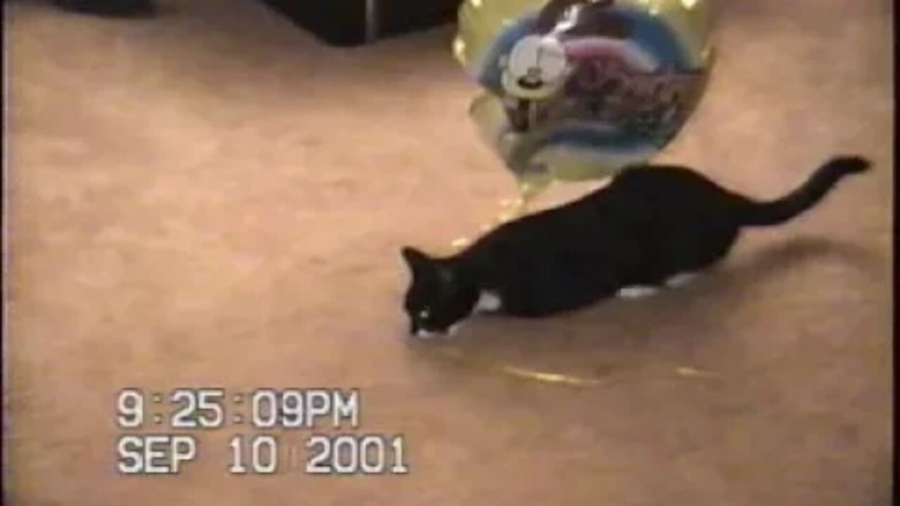 NYC TO NJ trip September 2001