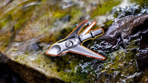 Ramcat Hydroshock Broadhead Review