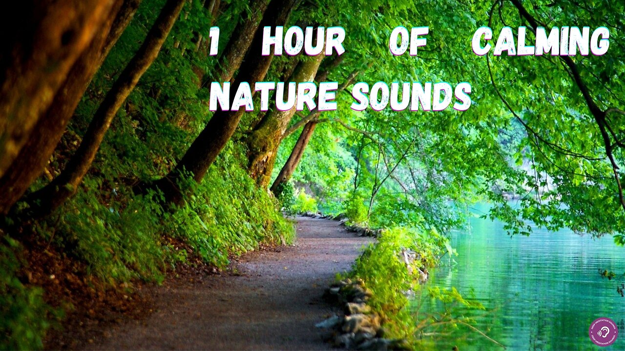 Fall asleep in 1 Hour Nature Sounds - Relaxing Therapy For Good Sleeping