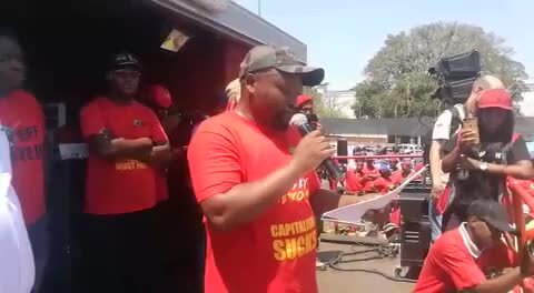 Car manufacturers importing workers while citizens are jobless, says Tshwane EFF (N8c)