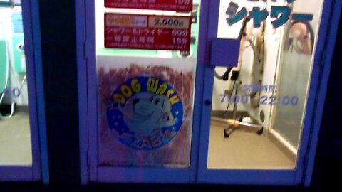 Coin Dog Wash in Japan