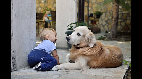 Cute Babies Playing With Dogs Compilation | Funny Baby And Pets