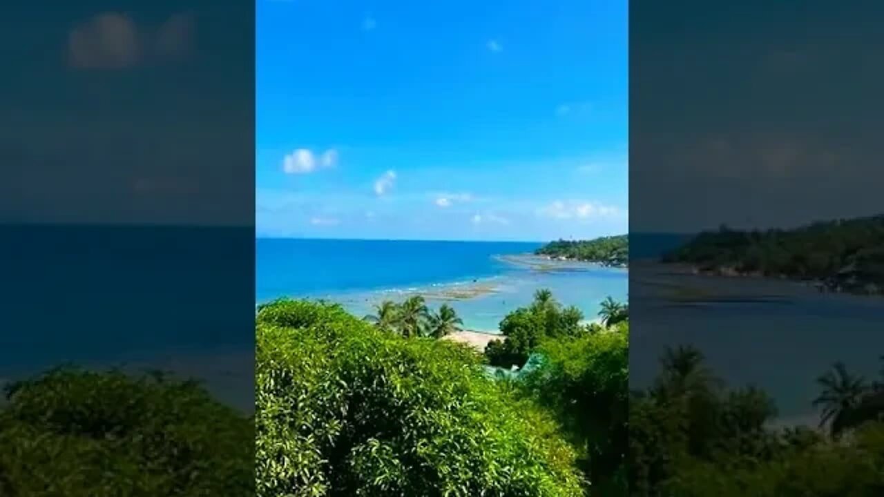 Island #shorts #ytshorts #funnyshorts #youtubeshorts #youtube