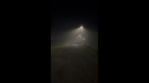 Foggy Nights