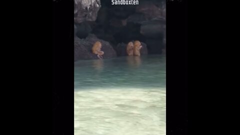 UNKNOWN CAVE CREATURES 😳