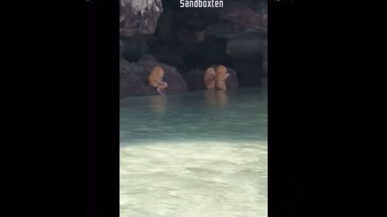 UNKNOWN CAVE CREATURES 😳