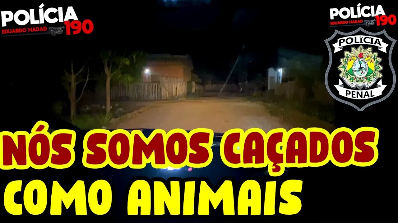 SOMOS CAÇADOS COMO ANIMAIS | POLÍCIA PENAL | POLÍCIA 190