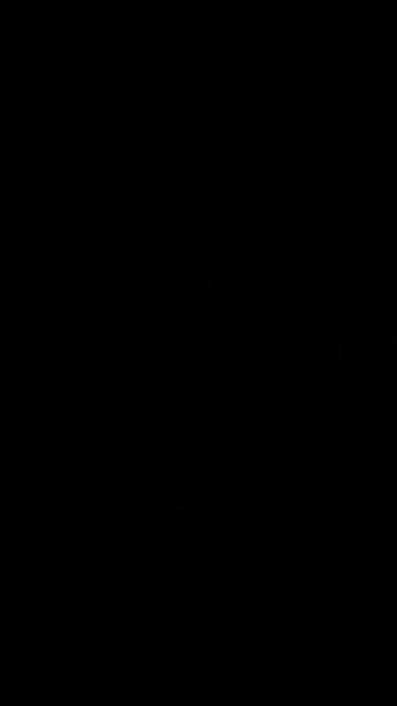 Radical racial division agenda