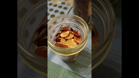 Results of a 2 box penny hunt and fill.