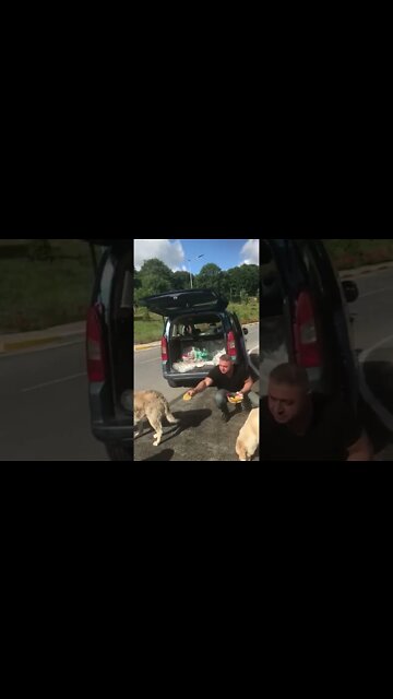 #shorts #2022 funny,prank,funjokes,dad jokes,funny memes,funny video,fun,laughing,funny animal,knock