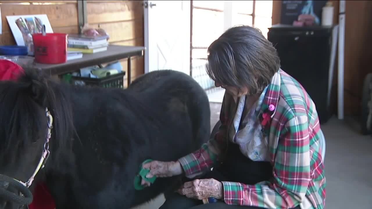 Equines and Elders: Horse therapy program benefits seniors