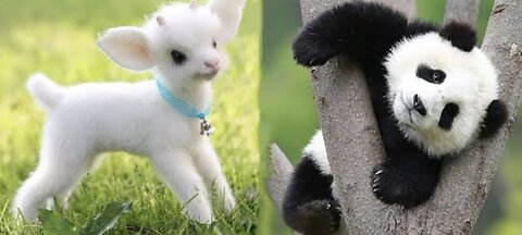 Cute baby animals Videos Compilation cute moment of the animals Cutest Animals 2023