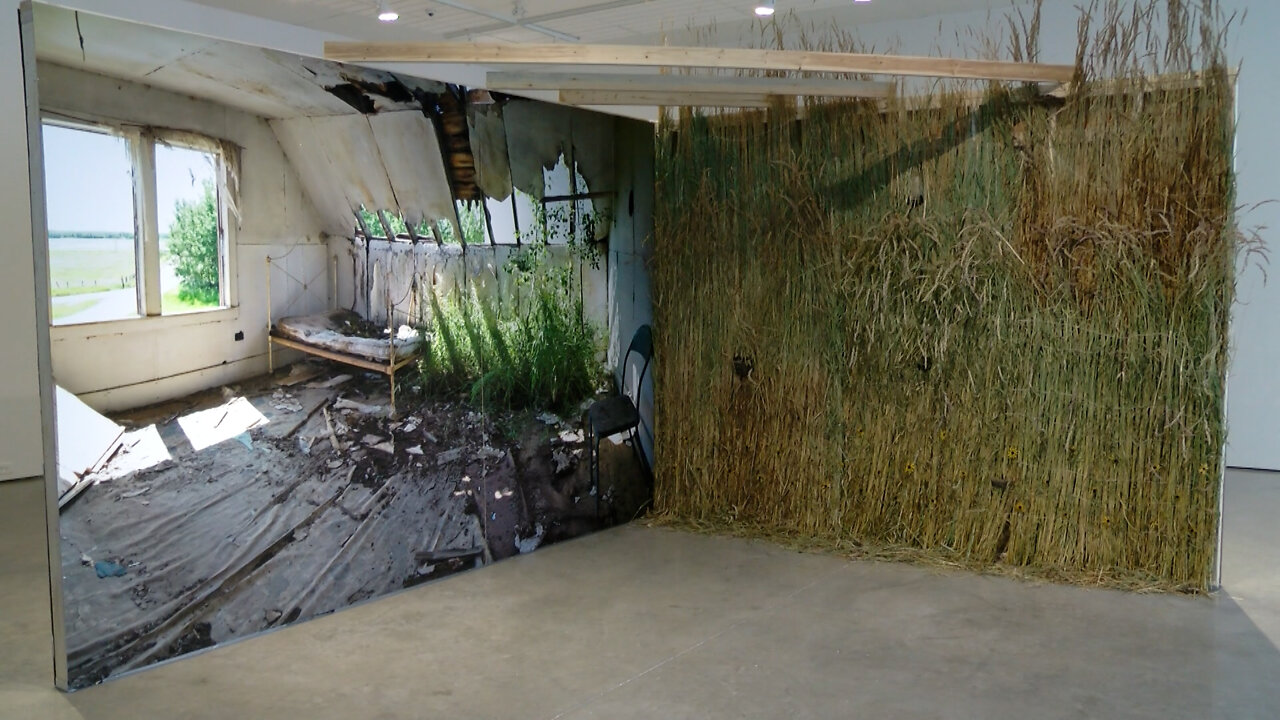 SAAG Exhibitions Showcasing Real-Life Experiences From Artists - February 17, 2022 - Micah Quinn