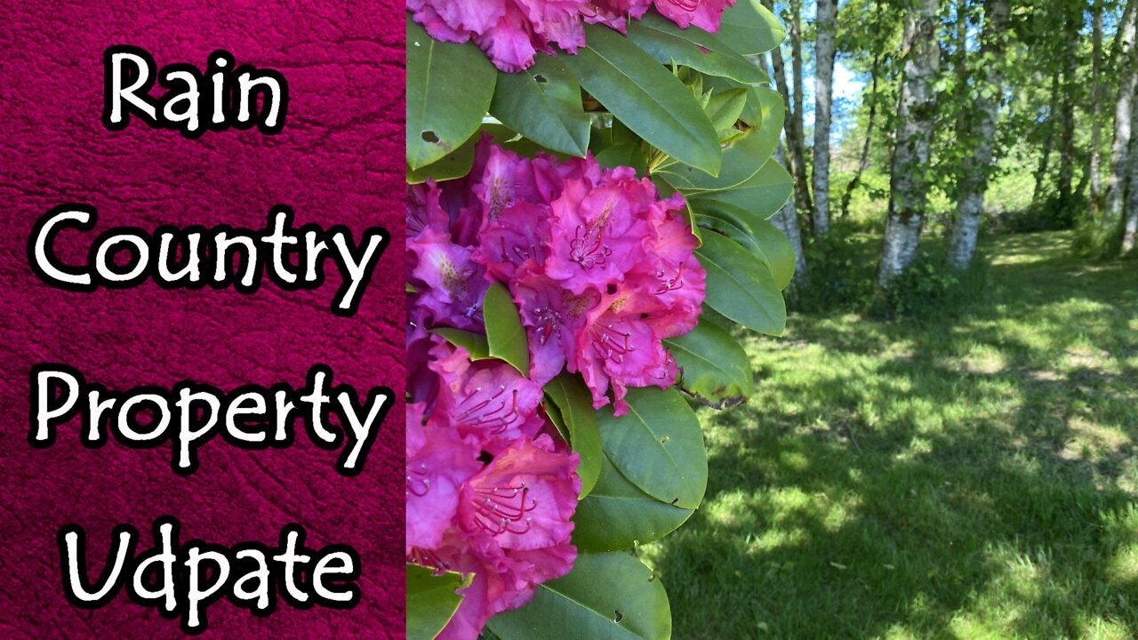 Rain Country Property Update (Rain Country Retreat)