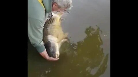 Carp fishing 2022 Florida -Good Morning Everyone.